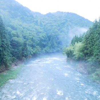 DSCN7988.JPG