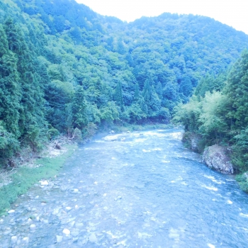 DSCN7992.JPG