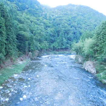 DSCN7996.JPG