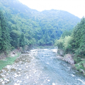DSCN8000.JPG