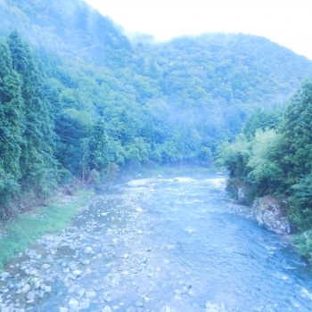 DSCN8004.JPG