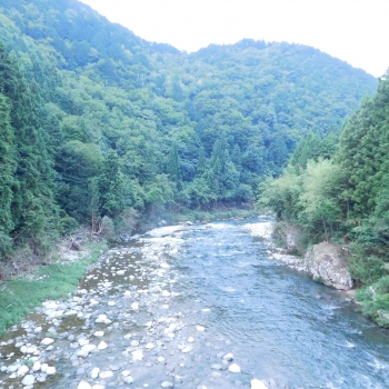 DSCN8008.JPG