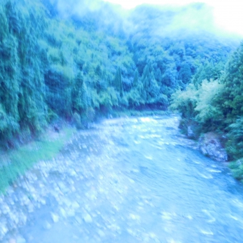DSCN8016.JPG