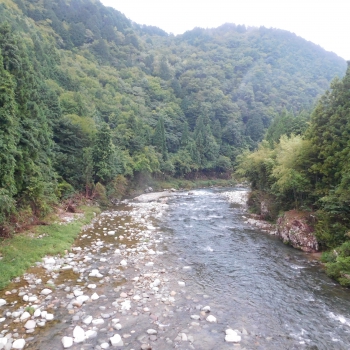 DSCN8020.JPG