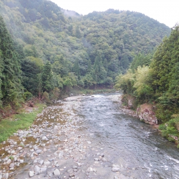 DSCN8024.JPG