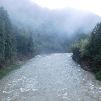 DSCN8028.JPG