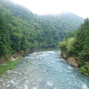 DSCN8032.JPG