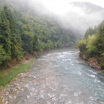 DSCN8036.JPG