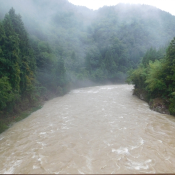 DSCN8040.JPG