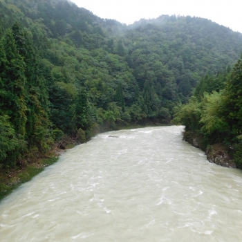 DSCN8048.JPG
