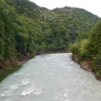 DSCN8053.JPG