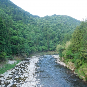 DSCN8058.JPG