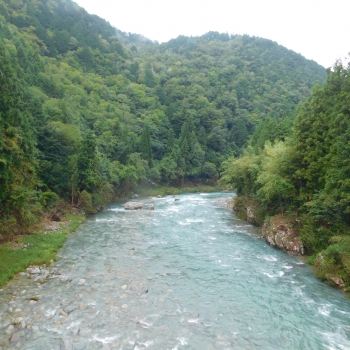 DSCN8061.JPG