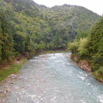 DSCN8065.JPG