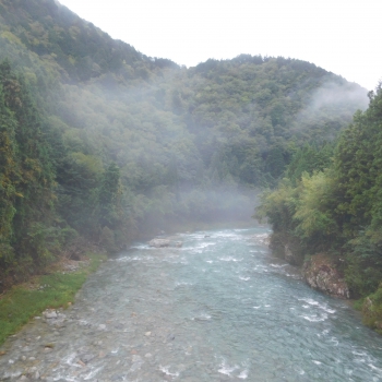 DSCN8073.JPG