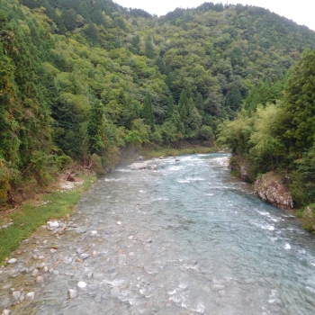 DSCN8077.JPG