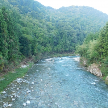 DSCN8081.JPG