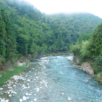 DSCN8085.JPG