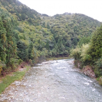 DSCN8093.JPG