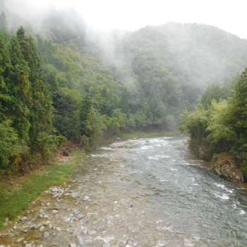 DSCN8097.JPG