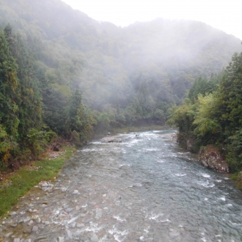 DSCN8101.JPG