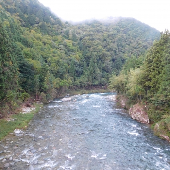 DSCN8105.JPG