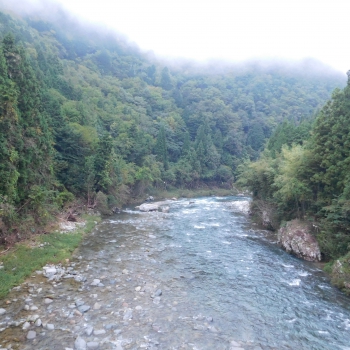 DSCN8109.JPG