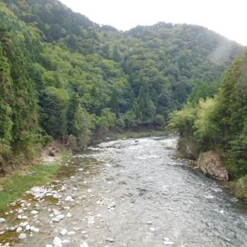 DSCN8113.JPG