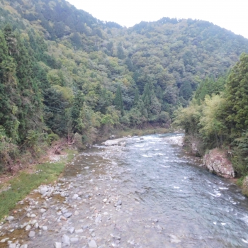 DSCN8117.JPG