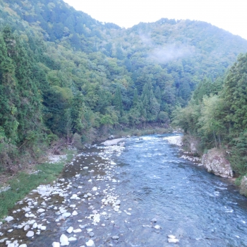 DSCN8121.JPG