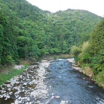 DSCN8122.JPG