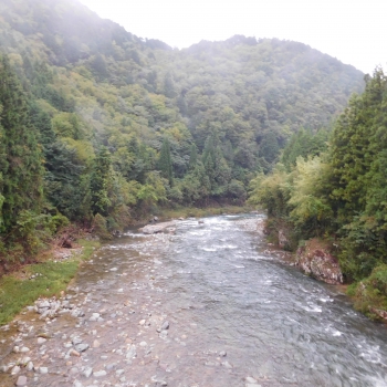 DSCN8125.JPG
