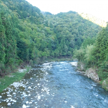 DSCN8129.JPG