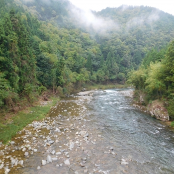 DSCN8133.JPG