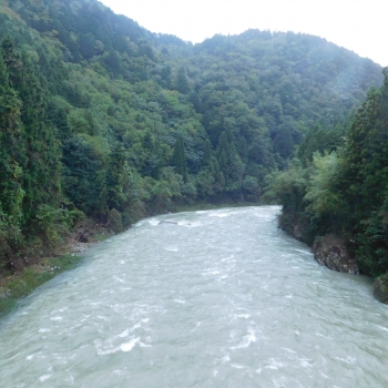 DSCN8137.JPG