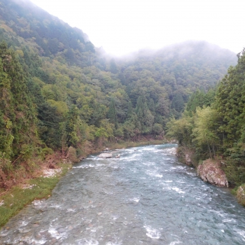 DSCN8141.JPG