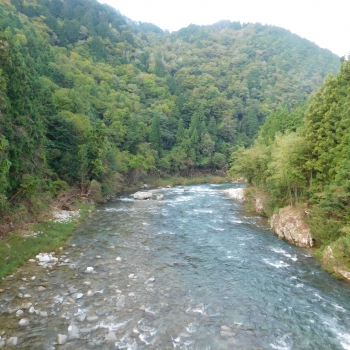 DSCN8145.JPG
