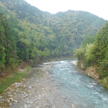 DSCN8213.JPG