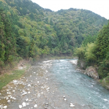 DSCN8217.JPG