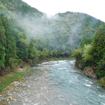 DSCN8221.JPG