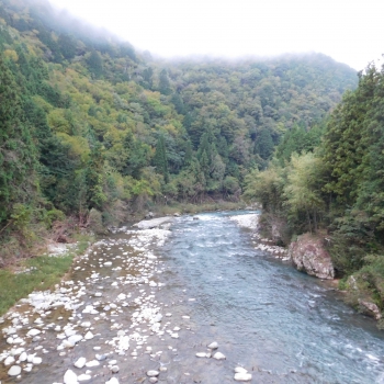 DSCN8229.JPG
