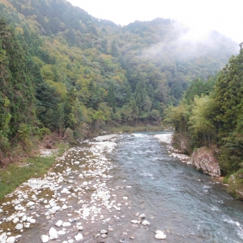 DSCN8292.JPG