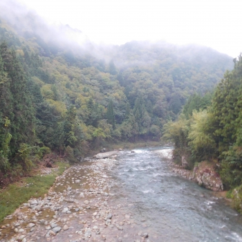 DSCN8296.JPG