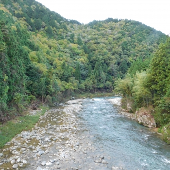 DSCN8300.JPG