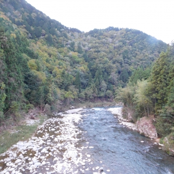 DSCN8304.JPG