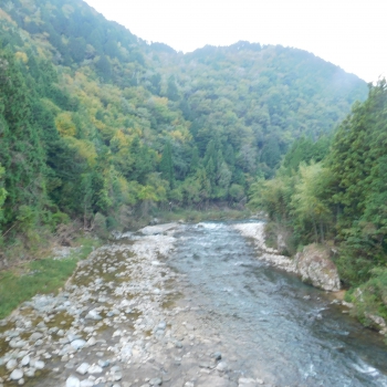 DSCN8308.JPG