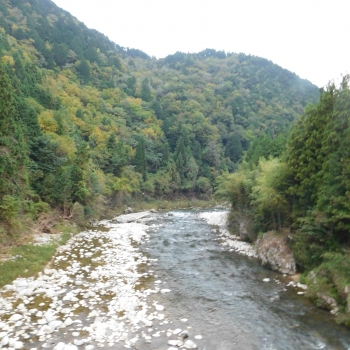 DSCN8312.JPG