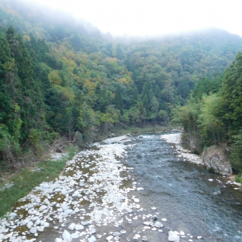 DSCN8320.JPG