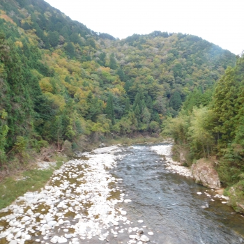 DSCN8324.JPG
