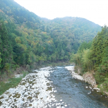 DSCN8328.JPG
